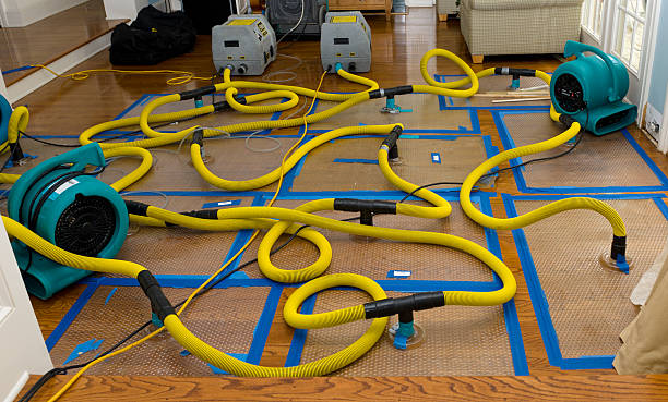 Professional Flood Damage Restoration technician working in Florida, FL